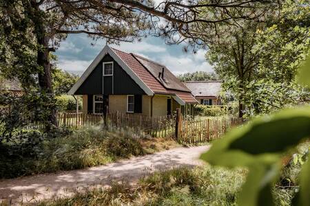 Ein freistehendes Ferienhaus im Ferienpark Roompot Kustpark Texel