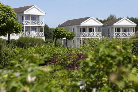 Schöne Ferienhäuser im Ferienpark Roompot Nordsee Résidence De Banjaard