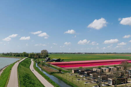 Ferienpark Roompot Park Wijdenes mit Tulpenfeldern und dem Markermeer