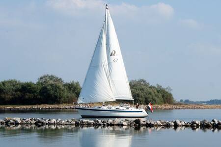 Segelboot auf dem Grevelingenmeer in der Nähe des Ferienparks Roompot Park Zeedijk