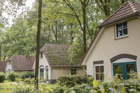 Freistehende Ferienhäuser im Ferienpark Roompot Recreatiepark de Tolplas