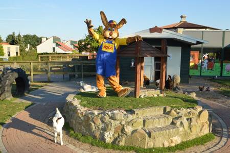 Koos Hase, das Maskottchen von Roompot, im Streichelzoo des Ferienparks Roompot Resort Arcen