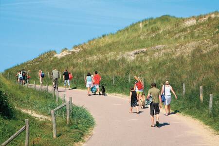 Spazierweg zwischen den Dünen zum Meer vom Ferienpark Roompot Resort Duynzicht