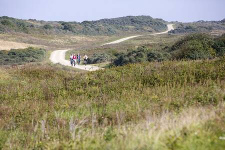 Menschen radeln durch die Dünen in der Nähe von Ouddorp und Roompot Strandpark Duynhille