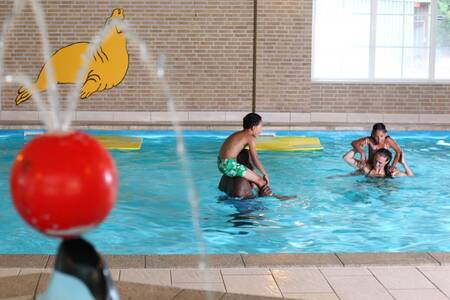 Menschen schwimmen im Hallenbad des Roompot Ferienparks Hellendoorn