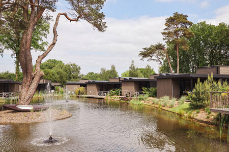 Ferienhäuser an einem Teich im Ferienpark Soof Retreats Soof Heuvelrug