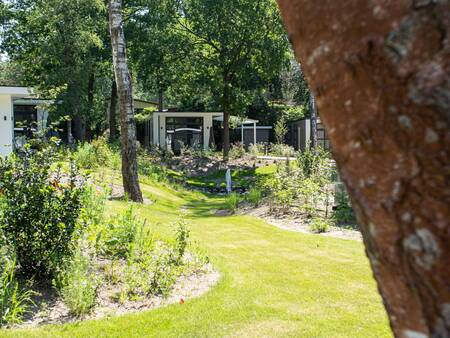 Ferienhäuser auf einer Wiese im Ferienpark Topparken Recreatiepark Beekbergen