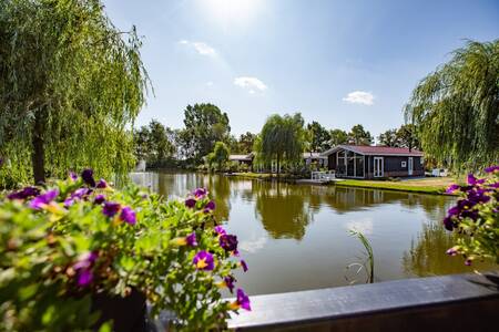 Ferienhäuser am Wasser im Ferienpark Topparken Residence Lichtenvoorde