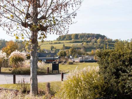 Ferienhäuser im Ferienpark Topparken Résidence Valkenburg mit dem Sousberg im Hintergrund