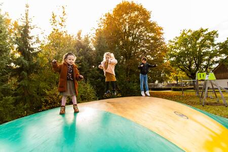 Kinder springen auf dem Lufttrampolin auf dem Spielplatz des Ferienparks Villapark Hof van Salland