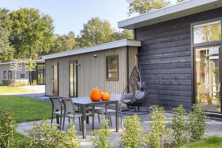 Ferienhaus Typ Boslodge Wellness für 4 Personen im Ferienpark Bospark Markelo