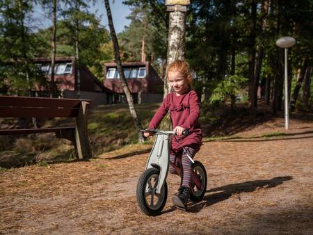 Ferienhäuser bei Het Vennenbos