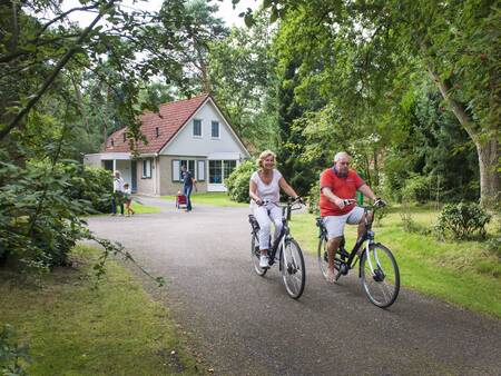 Ferienhaus im Ferienpark Landal De Vlegge