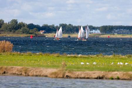 Veerse meer